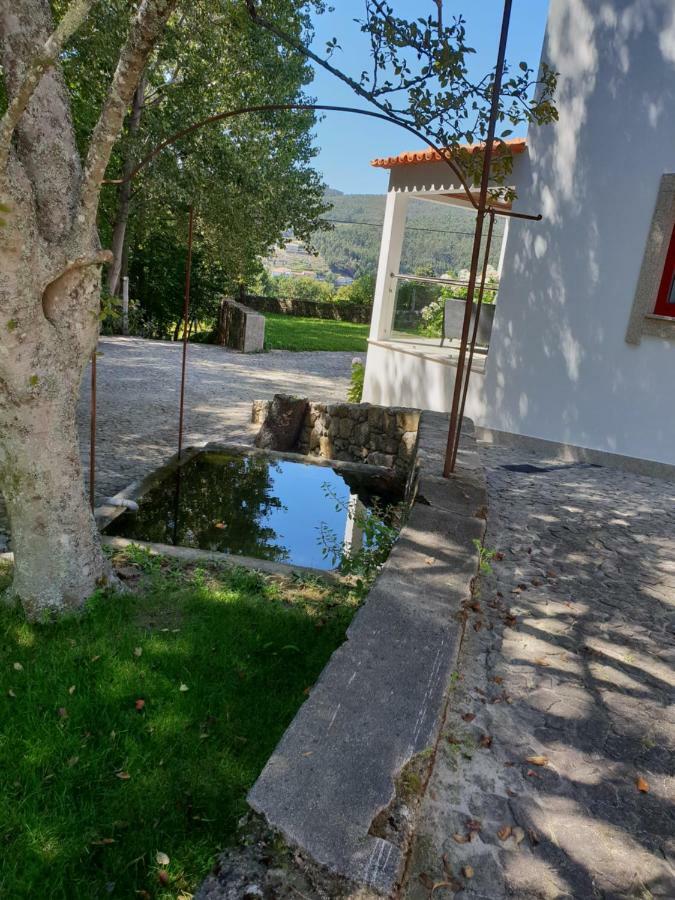 Casa Dos Namorados Vale de Cambra Eksteriør billede