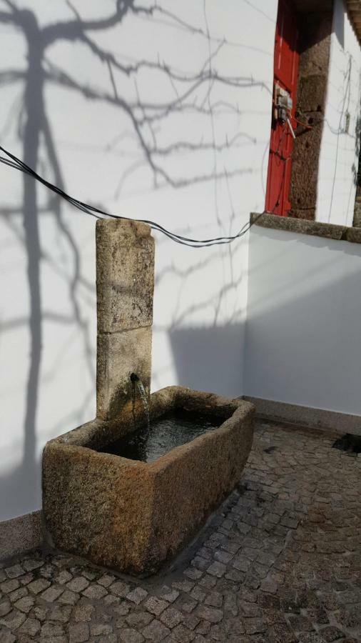 Casa Dos Namorados Vale de Cambra Eksteriør billede